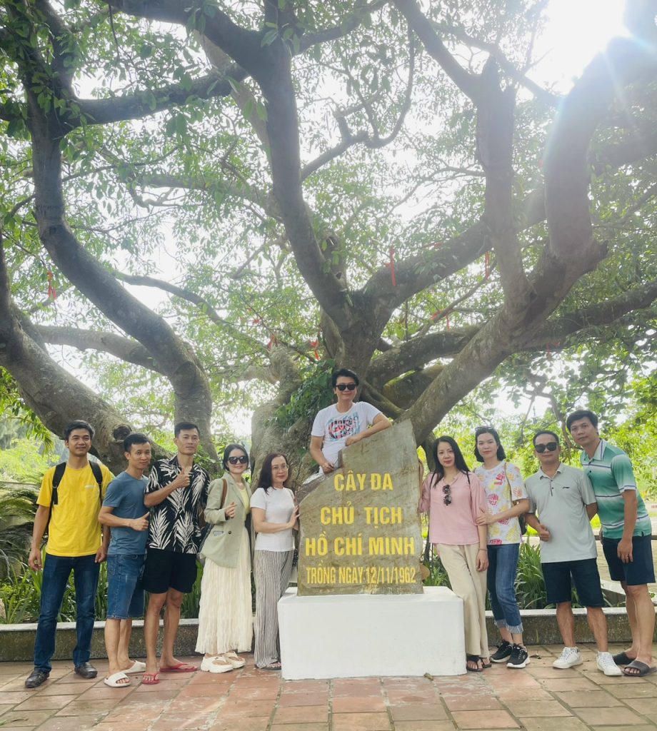 Cây Đa Lưu Niệm Trên Đảo Ngọc Vừng Quảng Ninh