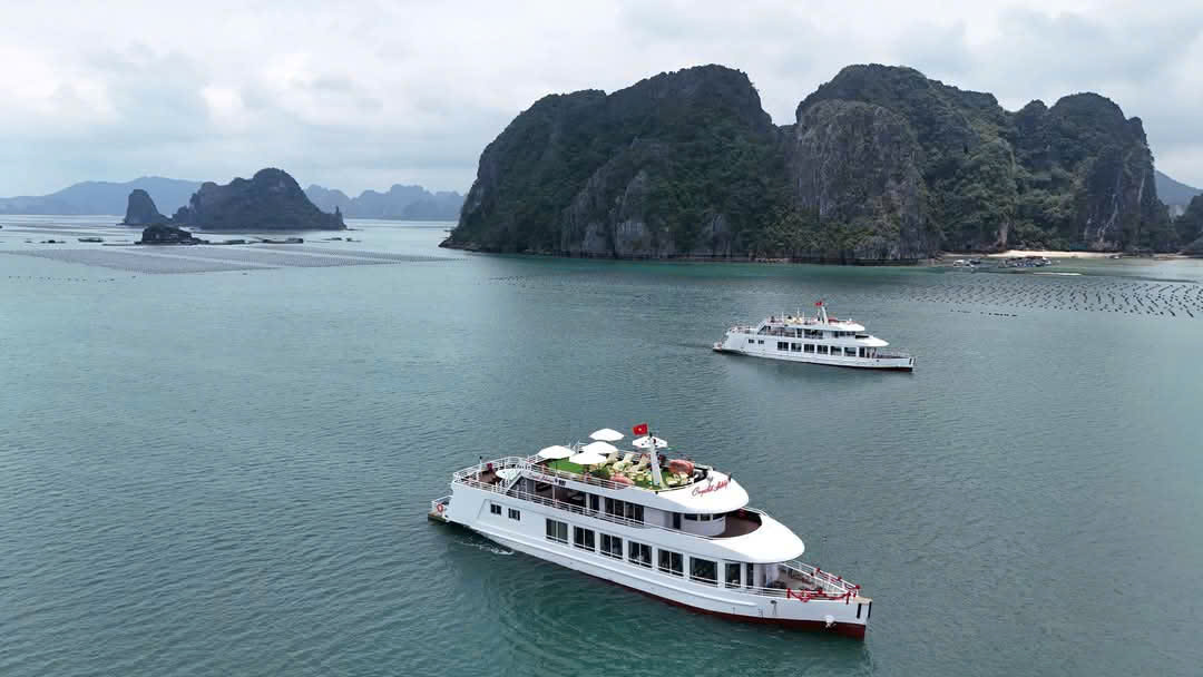 Du thuyền Crystal Holidays: Hải trình “The Beauty of Van Don”